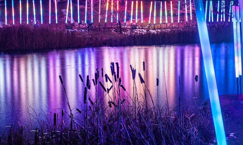 Winter Festival, Lake Project in USA 2022